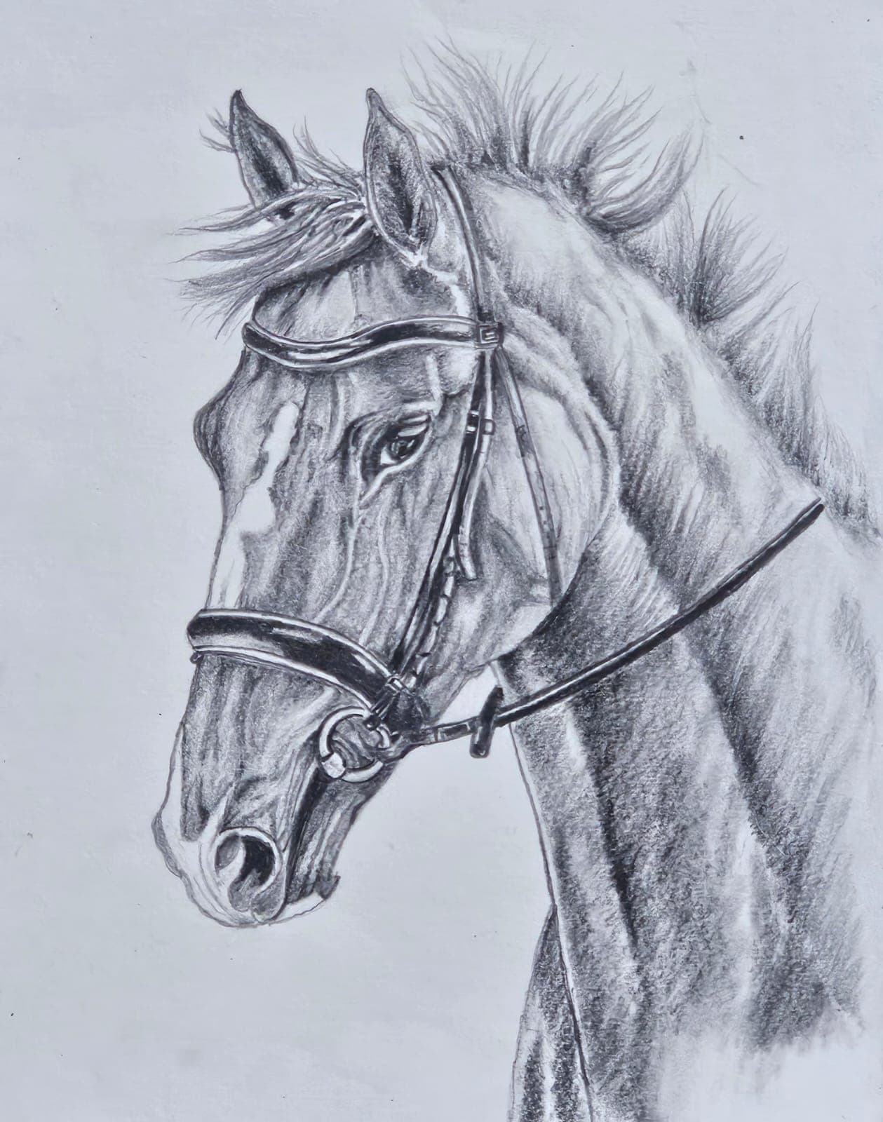 Sketching and Pencil Shading example 5