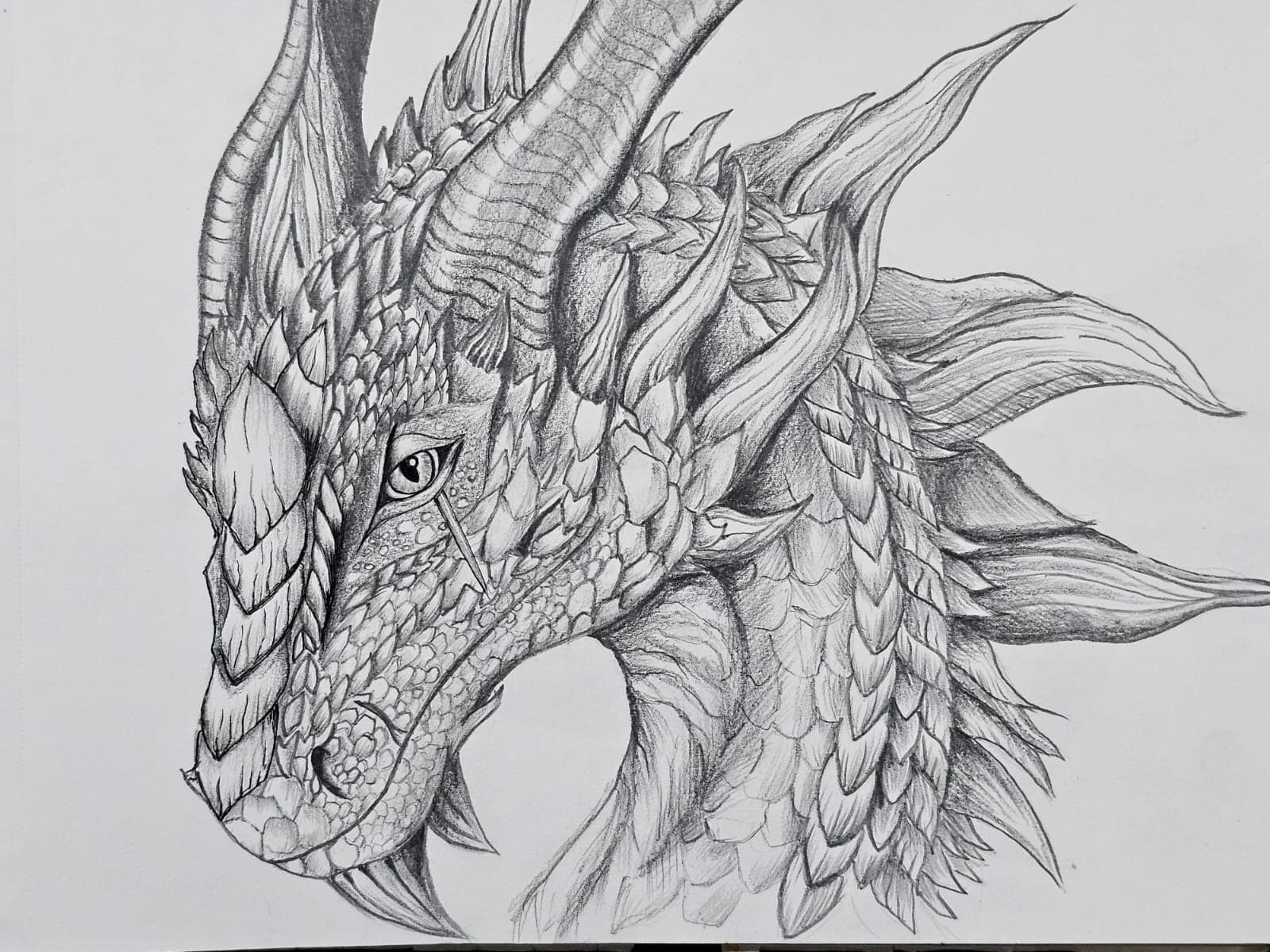 Sketching and Pencil Shading